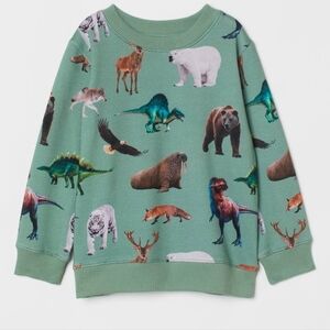Dinosaur & Wild Animals Kids Green H&M Sweatshirt Size: 6-7 Pullover Sweatshirt